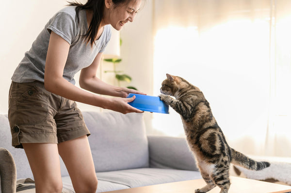 The Benefits of High-Protein Diets for Your Cat